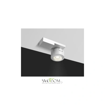 Светильники Maytoni C062CL-L12W3K от Магазина Svetdom.by