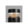 Ландшафтный светильник Outdoor O591FL-L12GF3K1 Maytoni
