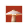 Настольный светильник Freya FR5482TL-L7BG Freya