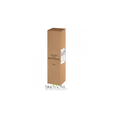 Настенный светильник (бра) Freya FR6159WL-L19B Freya