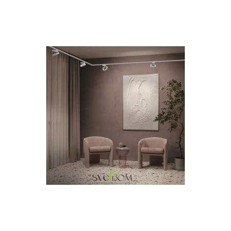 Трековый светильник TR044-1-12W3K-W Maytoni