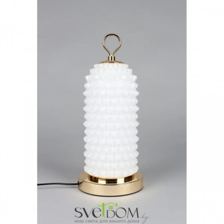 APL.332.04.10 Aployt