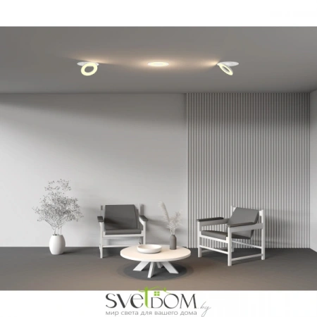 Встраиваемые светильники Maytoni DL102-12W2.7K-W от Магазина Svetdom.by