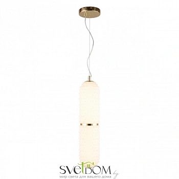 Светильник подвесной Aployt  APL.332.06.22