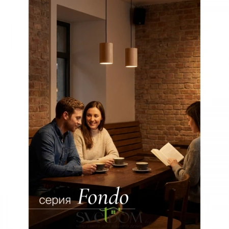 Подвесные светильники  LPL-001RW от Магазина Svetdom.by