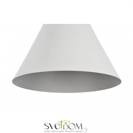 Подвесные светильники Maytoni P359-PL-01-W от Магазина Svetdom.by