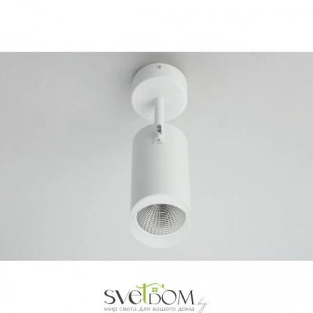 Настенно-потолочные светильники Omnilux OML-102609-20 от Магазина Svetdom.by