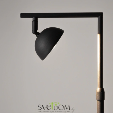 Напольный светильник (торшер) Maytoni MOD372FL-L10B3K Maytoni