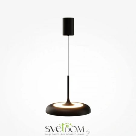 Подвесные светильники Maytoni MOD189PL-L39B3K от Магазина Svetdom.by