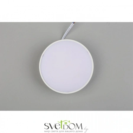 Настенно-потолочные светильники Aployt APL.0114.09.12 от Магазина Svetdom.by