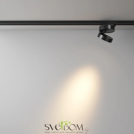 TR006-1-12W3K-B Maytoni