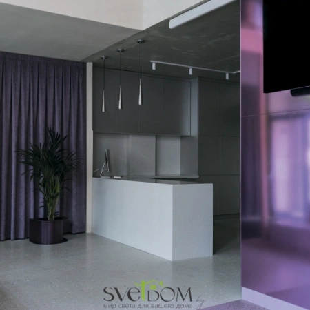 Подвесные светильники Maytoni P318-PL-01-N от Магазина Svetdom.by