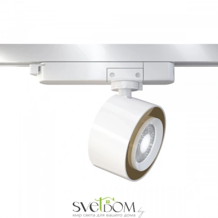 Светильники Maytoni TR023-1-12W3K от Магазина Svetdom.by