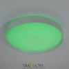 Citilux BOSS CL751450G LED RGB Светильник с пультом Белый CITILUX