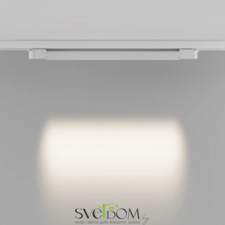 TR195-3-20W4K-M-W Maytoni