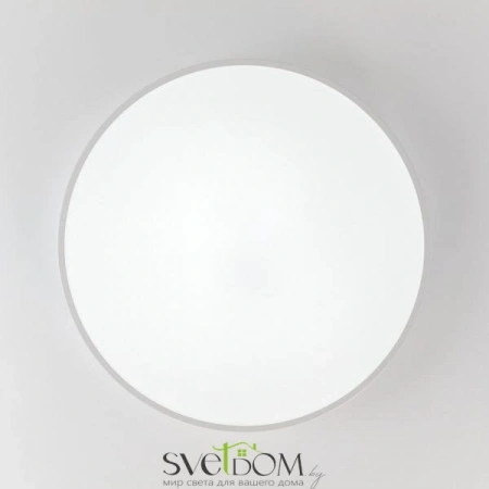 Потолочные светильники CITILUX CL724105G0 от Магазина Svetdom.by