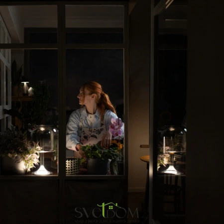 MOD286TL-L8B3K Maytoni