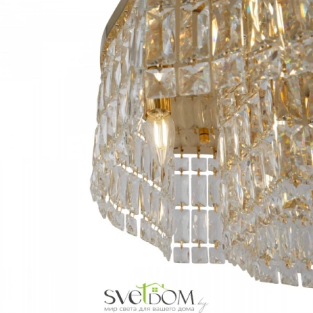 Потолочные светильники Maytoni DIA005CL-10G от Магазина Svetdom.by