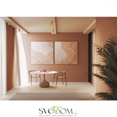 Потолочные светильники Maytoni C010CL-01MG от Магазина Svetdom.by