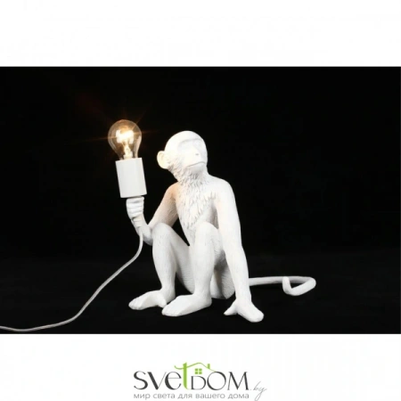 APL.309.14.01 Aployt