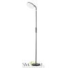 Citilux SOLO CL804061 LED Торшер с пультом Чёрный CITILUX