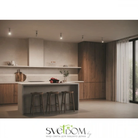 Потолочные светильники Maytoni C051CL-01W от Магазина Svetdom.by