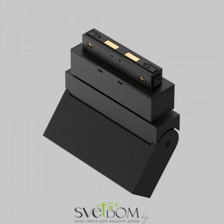 TR077-2-10W4K-B Maytoni