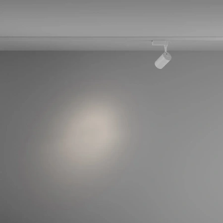 TR003-1-6W4K-S-W Maytoni