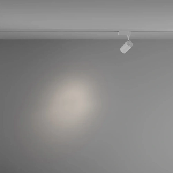 TR003-1-6W4K-S-W Maytoni