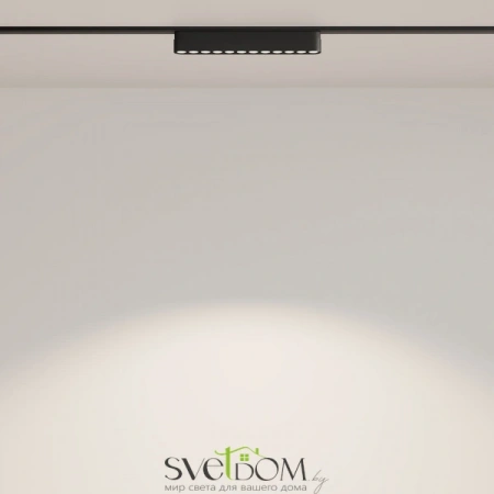 TR082-1-12W4K-M-B Maytoni