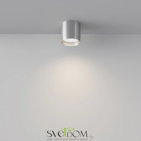 Потолочный светильник Technical C088CL-GX53-S Maytoni