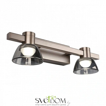 Светильник настенный (Бра) Aployt  APL.788.01.02