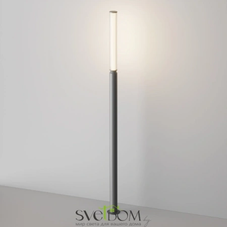 O593FL-L20GF3K Maytoni