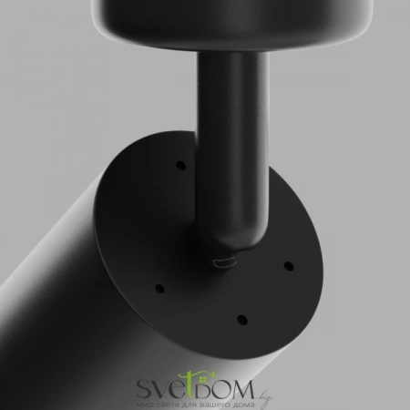 Потолочные светильники Maytoni C017CW-01B от Магазина Svetdom.by