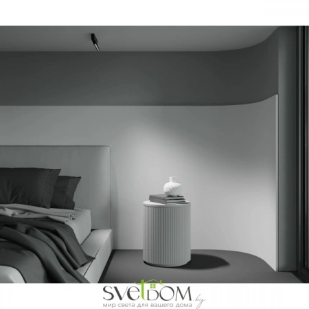 Потолочные светильники Maytoni C136CL-12W3K-B от Магазина Svetdom.by