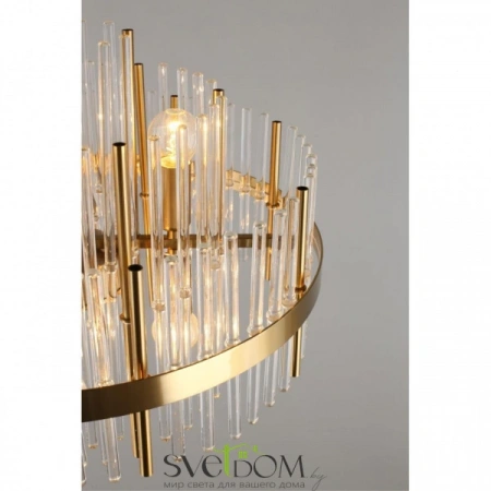 Люстры потолочныеOML-69217-06 Omnilux | Svetdom.by