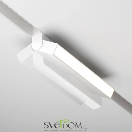 TR036-4-12WTW-DSZ-W Maytoni