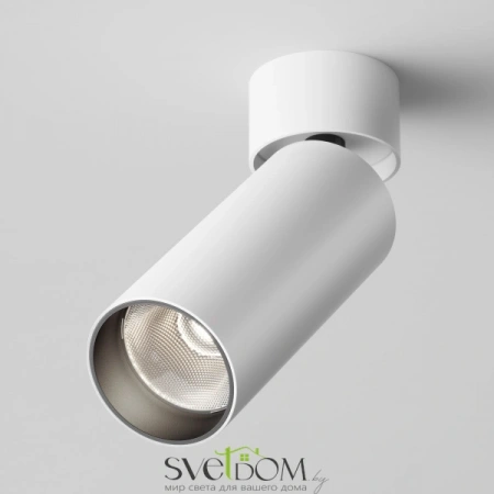 Потолочные светильники Maytoni C055CL-L12W4K-W-W от Магазина Svetdom.by