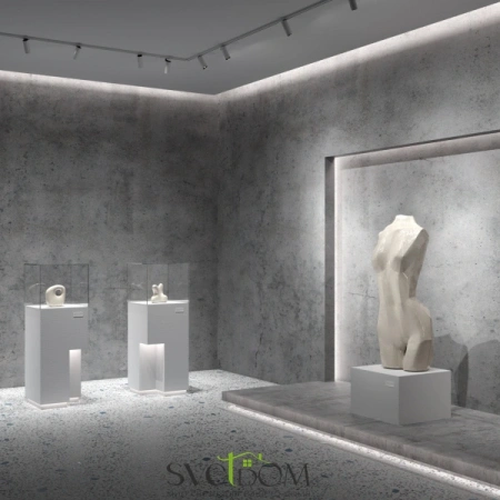 Светодиодная лента 12В 5050 7,2Вт/м  6000K 5м IP20 10122