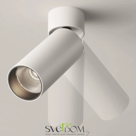 Потолочные светильники Maytoni C055CL-L12W4K-W-W от Магазина Svetdom.by