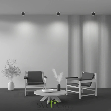 Потолочные светильники Maytoni C009CW-L12B4K от Магазина Svetdom.by