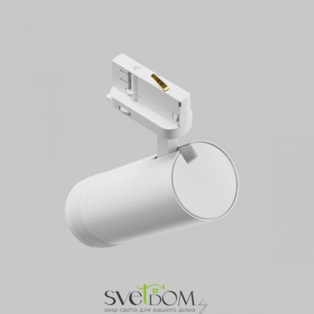 TR198-3-20W4K-Z-W Maytoni