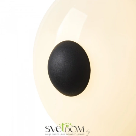 Настенные светильники FR5553WL-L6B Freya | Svetdom.by