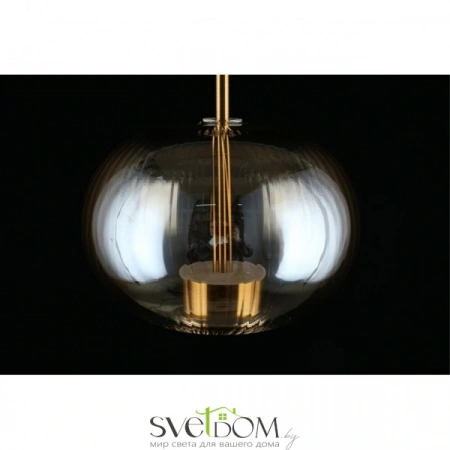 Подвесные светильники Aployt APL.057.06.12 от Магазина Svetdom.by