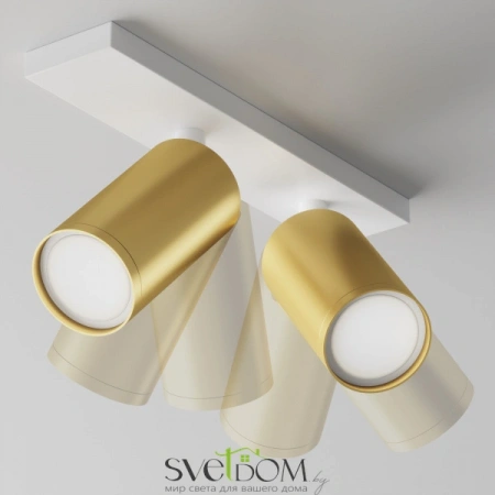 Потолочные светильники Maytoni C051CL-U-2WMG от Магазина Svetdom.by