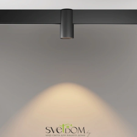 TR122-2-7W3K-B Maytoni