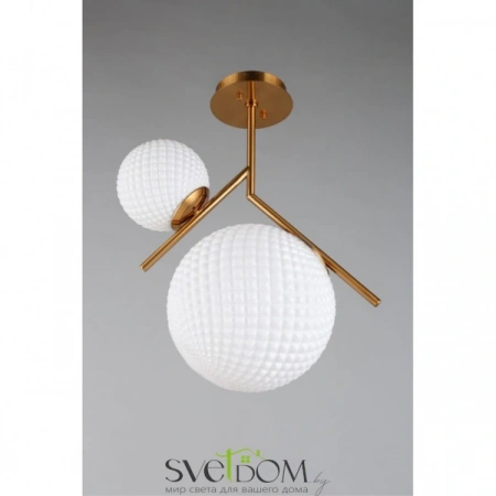 Люстры потолочныеAPL.300.07.02 Aployt | Svetdom.by