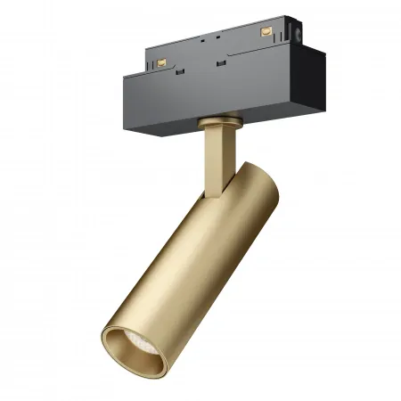 Светильники Maytoni TR019-2-7W3K-MG от Магазина Svetdom.by