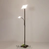 Citilux Харди CL802015 LED Торшер с диммером Кофейный CITILUX
