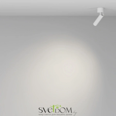 Потолочные светильники Maytoni C141CL-L125-6W4K-W от Магазина Svetdom.by